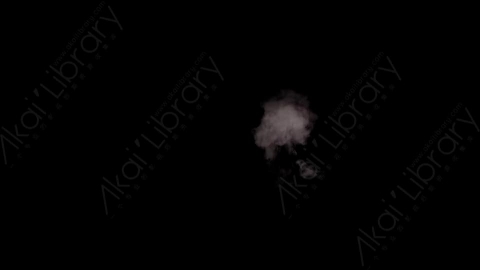 视频素材-枪口火焰Rampant_Muzzle_Smoke_034