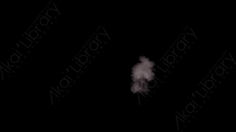 视频素材-枪口火焰Rampant_Muzzle_Smoke_037