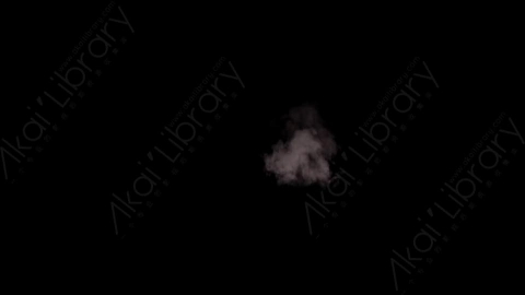 视频素材-枪口火焰Rampant_Muzzle_Smoke_040