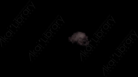 视频素材-枪口火焰Rampant_Muzzle_Smoke_041