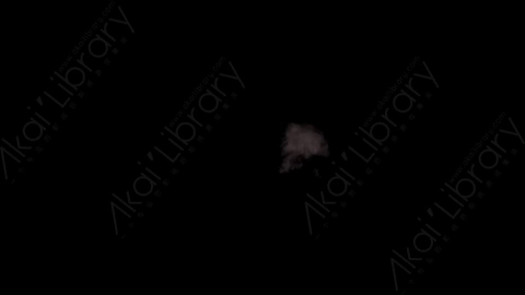 视频素材-枪口火焰Rampant_Muzzle_Smoke_044