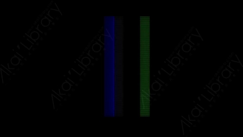 视频素材-故障毛刺元素Rampant_RGE_Glitch_Effects_041