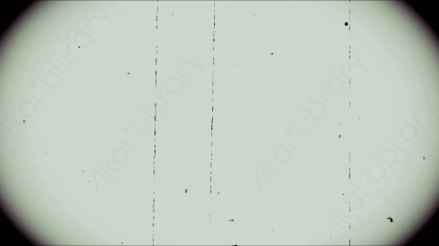 视频素材-胶片划痕Rampant_Scratches_19