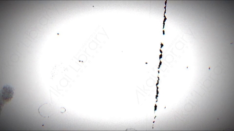 视频素材-胶片划痕Rampant_Scratches_24