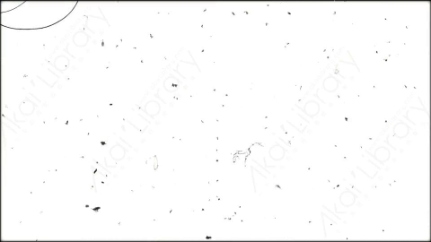 视频素材-胶片划痕Rampant_Scratches_38