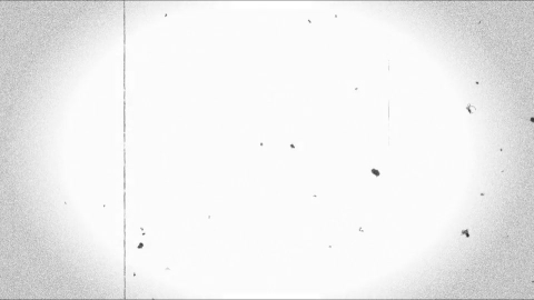 视频素材-胶片划痕Rampant_Scratches_43