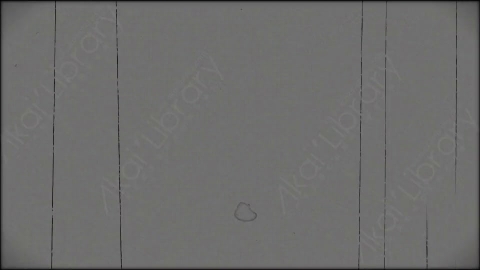 视频素材-胶片划痕Rampant_Scratches_47