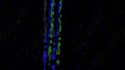 视频素材-故障毛刺元素Rampant_Screen_Damage_112