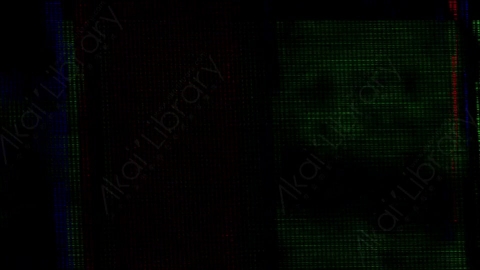视频素材-故障毛刺元素Rampant_Screen_Damage_191