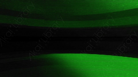 视频素材-故障毛刺元素Rampant_Screen_Damage_248