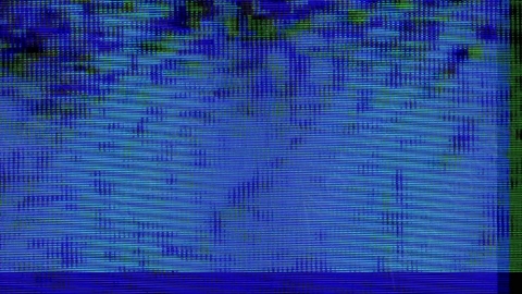 视频素材-故障毛刺元素Rampant_Screen_Damage_273