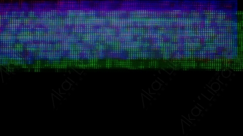 视频素材-故障毛刺元素Rampant_Screen_Damage_277