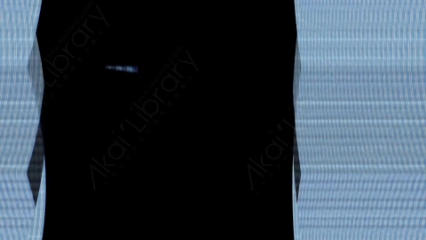 视频素材-故障毛刺元素Rampant_Screen_Damage_297