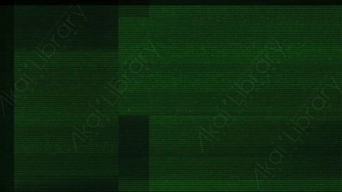 视频素材-故障毛刺元素Rampant_Screen_Damage_325