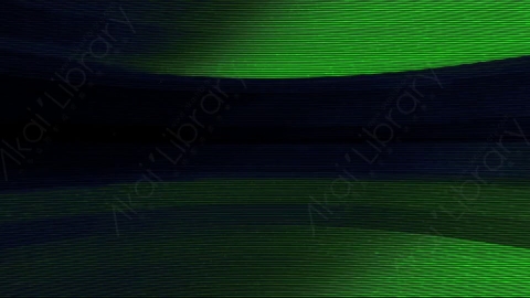 视频素材-故障毛刺元素Rampant_Screen_Damage_345