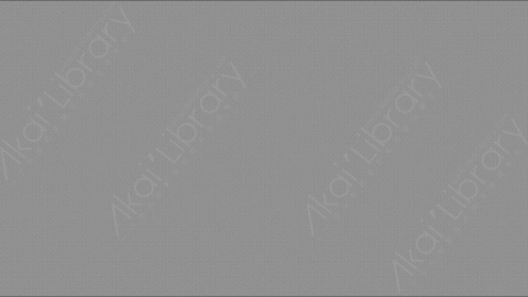 视频素材-信号丢失Rampant_Screen_Effects_027