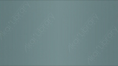 视频素材-信号丢失Rampant_Screen_Effects_029