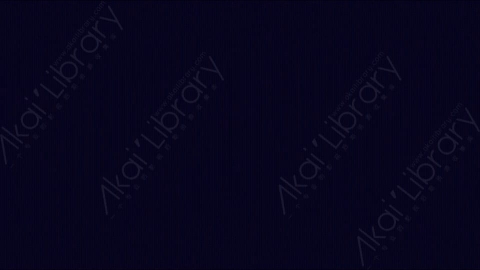 视频素材-信号丢失Rampant_Screen_Effects_045