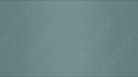 视频素材-信号丢失Rampant_Screen_Effects_053