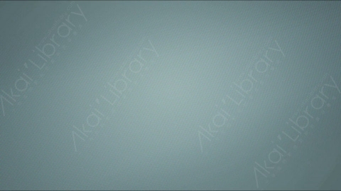 视频素材-信号丢失Rampant_Screen_Effects_054