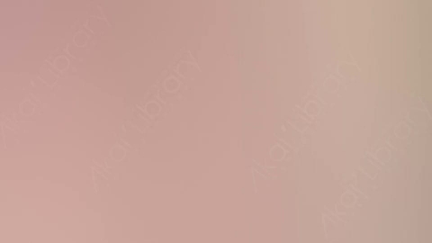 视频素材-炫光Rampant_Studio_Film_Leaks_003