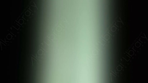 视频素材-炫光Rampant_Studio_Film_Leaks_015