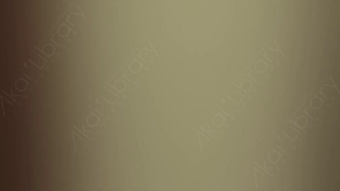 视频素材-炫光Rampant_Studio_Film_Leaks_017
