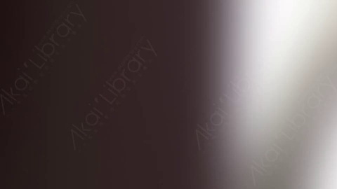 视频素材-炫光Rampant_Studio_Film_Leaks_028