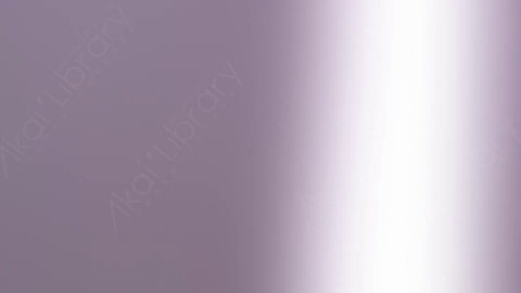 视频素材-炫光Rampant_Studio_Film_Leaks_033