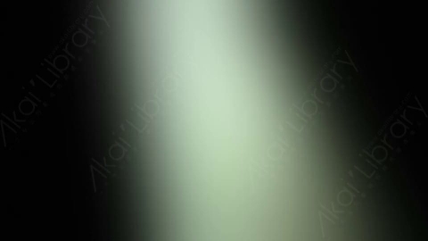 视频素材-炫光Rampant_Studio_Film_Leaks_036