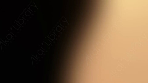 视频素材-炫光Rampant_Studio_Film_Leaks_041