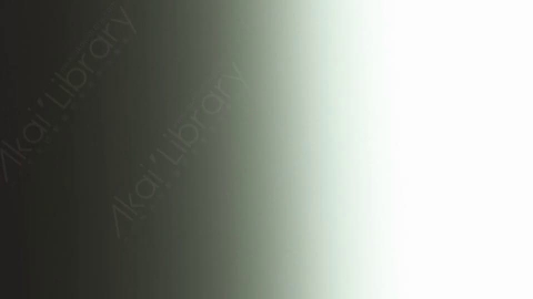 视频素材-炫光Rampant_Studio_Film_Leaks_042