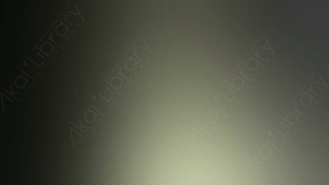 视频素材-炫光Rampant_Studio_Film_Leaks_046