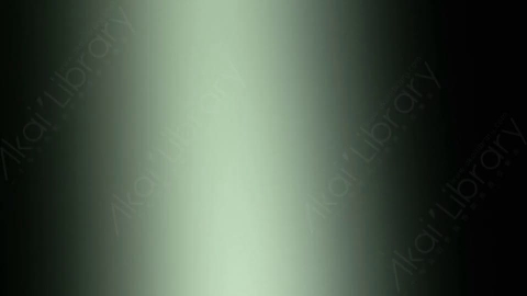 视频素材-炫光Rampant_Studio_Film_Leaks_047