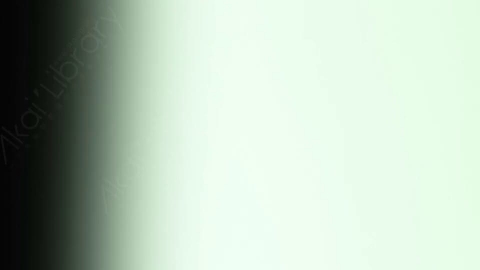 视频素材-炫光Rampant_Studio_Film_Leaks_048