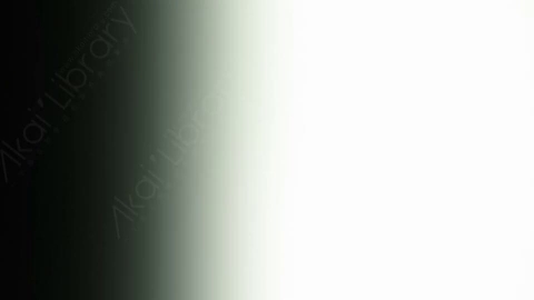 视频素材-炫光Rampant_Studio_Film_Leaks_049