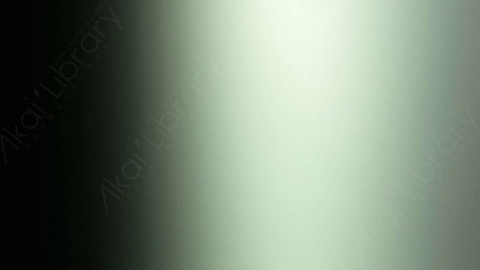 视频素材-炫光Rampant_Studio_Film_Leaks_055