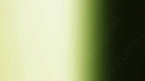 视频素材-炫光Rampant_Studio_Film_Leaks_062