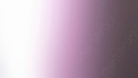 视频素材-炫光Rampant_Studio_Film_Leaks_063