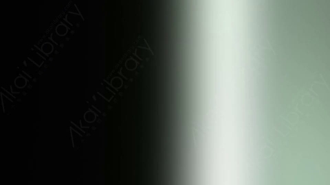 视频素材-炫光Rampant_Studio_Film_Leaks_066