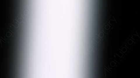 视频素材-炫光Rampant_Studio_Film_Leaks_068