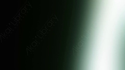 视频素材-炫光Rampant_Studio_Film_Leaks_070