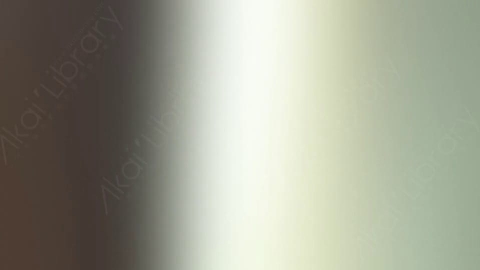 视频素材-炫光Rampant_Studio_Film_Leaks_072