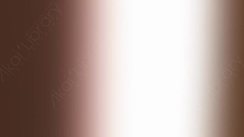 视频素材-炫光Rampant_Studio_Film_Leaks_074