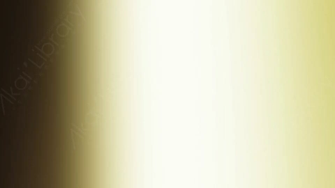 视频素材-炫光Rampant_Studio_Film_Leaks_078