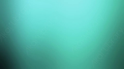 视频素材-炫光Rampant_Studio_Film_Leaks_081