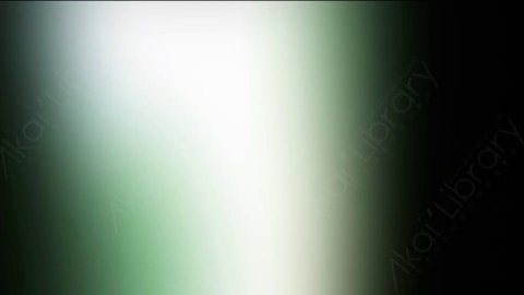 视频素材-炫光Rampant_Studio_Film_Leaks_083