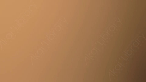 视频素材-炫光Rampant_Studio_Film_Leaks_087