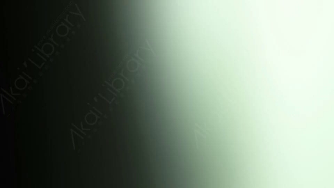 视频素材-炫光Rampant_Studio_Film_Leaks_090