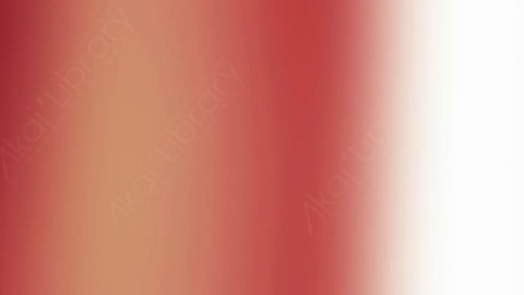视频素材-炫光Rampant_Studio_Film_Leaks_091